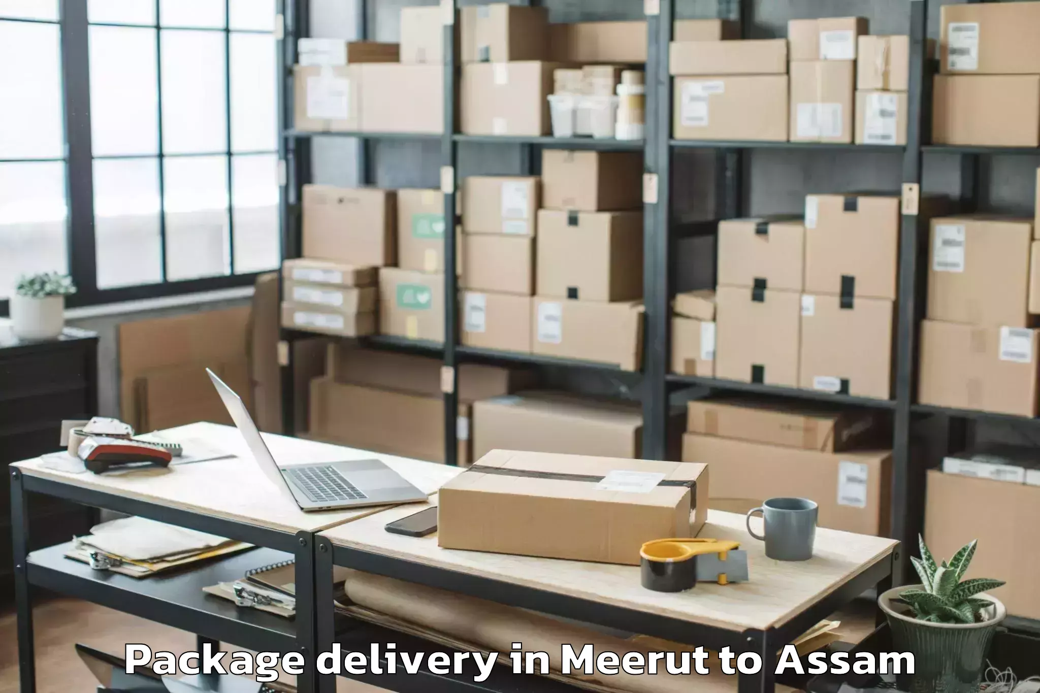 Trusted Meerut to Goshaingaon Package Delivery